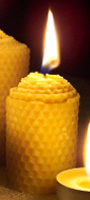 ByeBite - Candela insettorepellente Foglio cereo h70